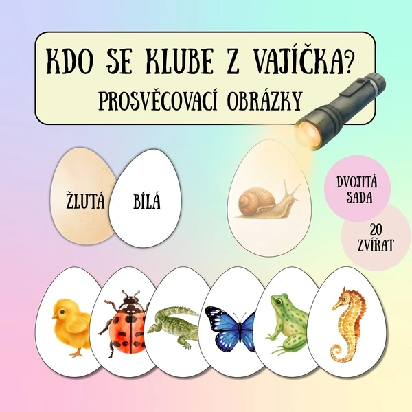 Kdo se klube z vajíčka? - prosvěcovací obrázky