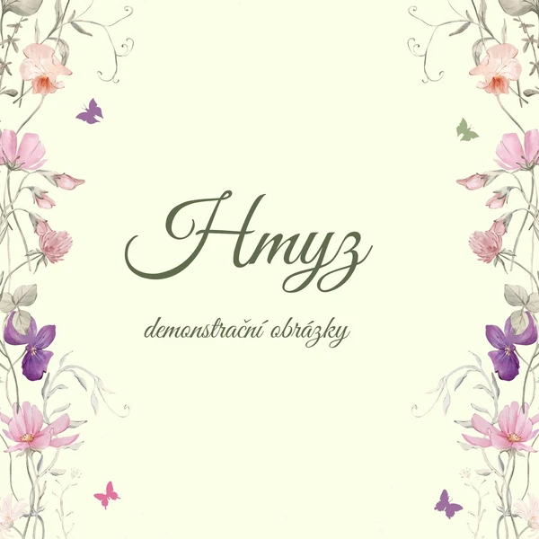 Hmyz - demonstrační obrázky