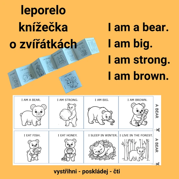 My Little Animal Book
