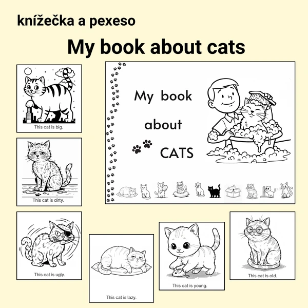 My book about CATS