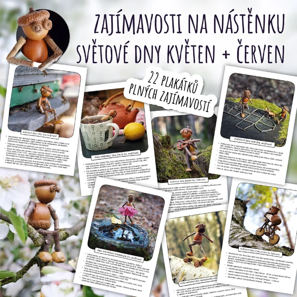 Zajímavosti na nástěnku: Světové dny – květen a červen