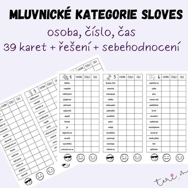 MLUVNICKÉ KATEGORIE SLOVES - určování (osoba, číslo, čas)