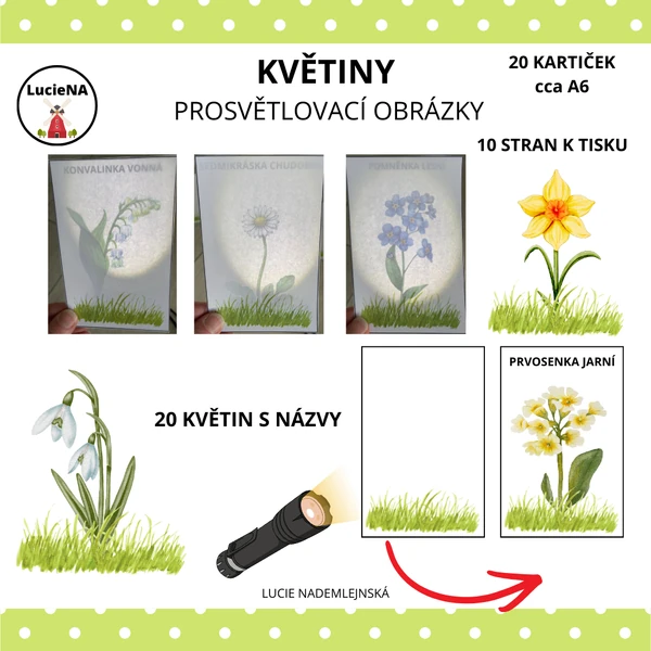 KVĚTINY - PROSVĚTLOVÁNÍ