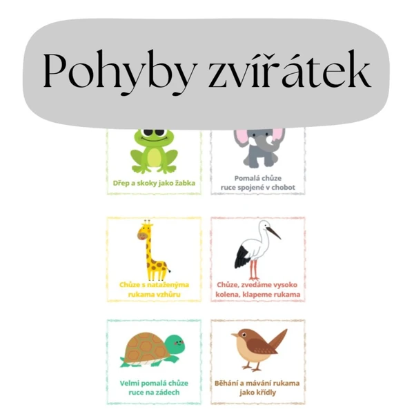 Pohyby zvířátek