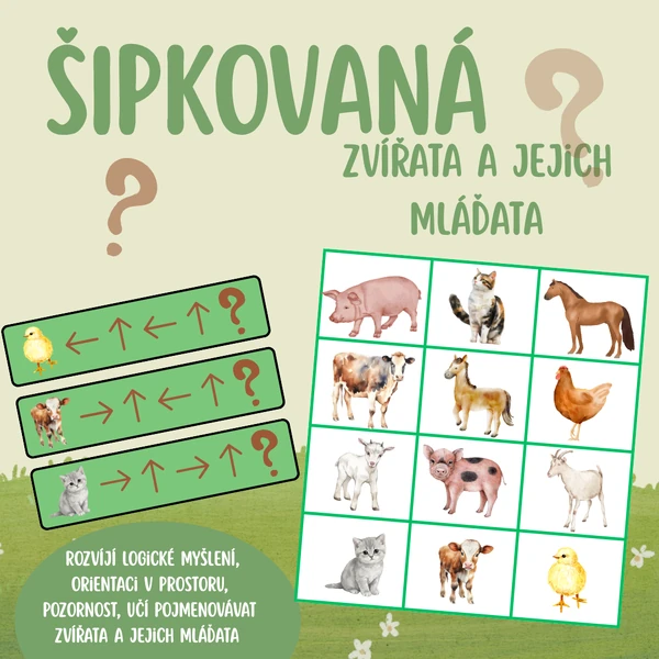 Šipkovaná - Kdo se schovává v cíli?