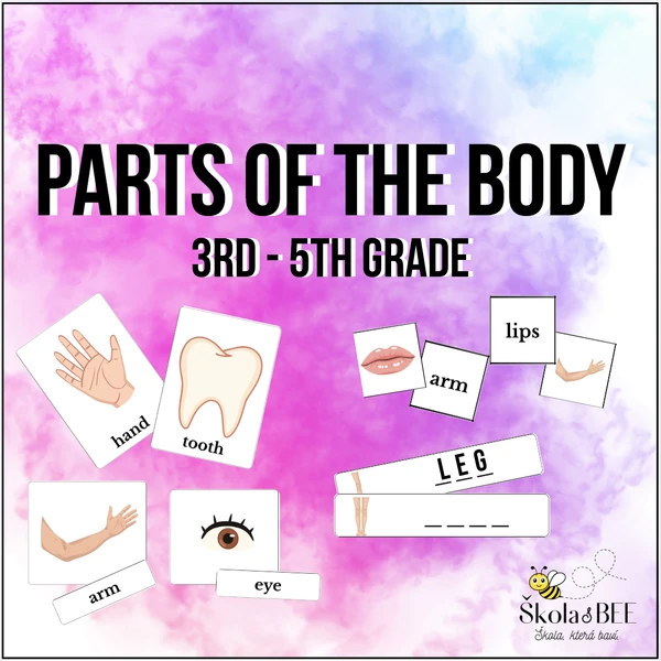 Parts of the body