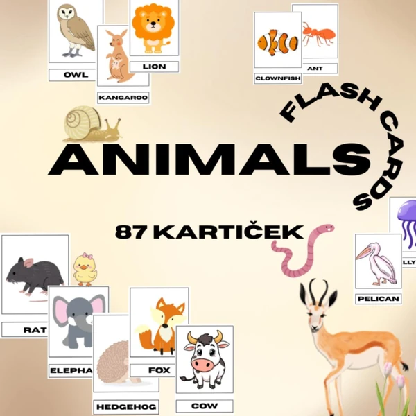 ANIMALS - flashcards