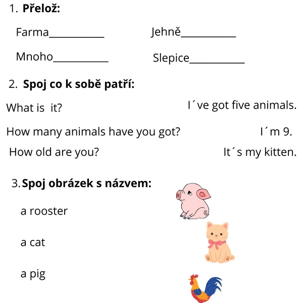 Angličtina pracovní listy, bingo, domino, pexeso