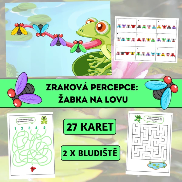 Zraková percepce: Žabka na lovu