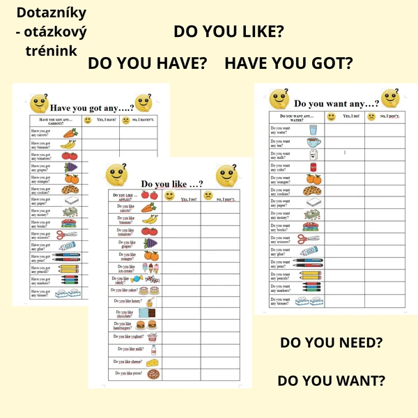 Dotazník DO YOU...? HAVE YOU GOT...?