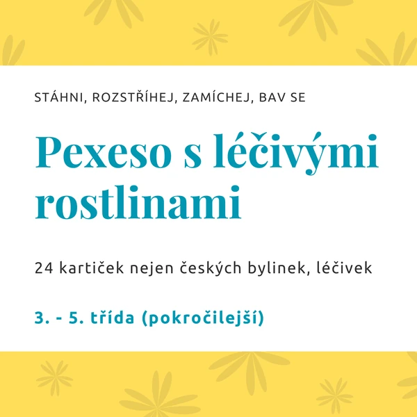 Pexeso s léčivými rostlinami