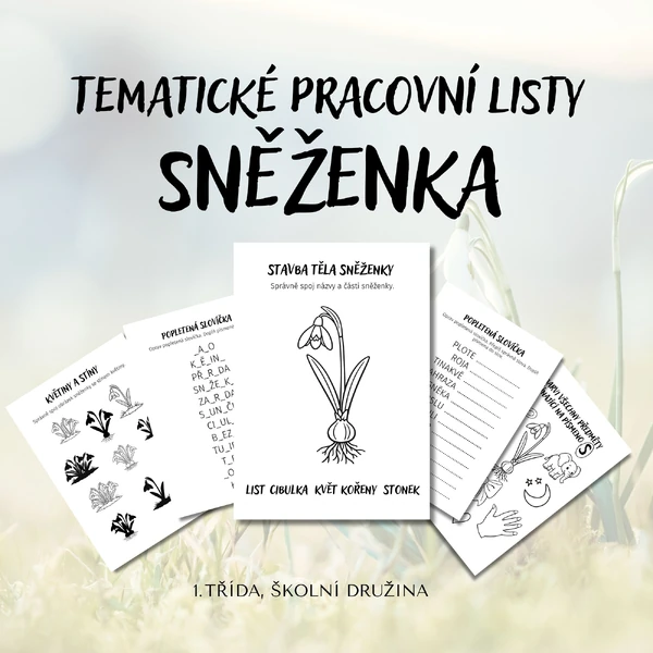 Tematické pracovní listy - SNĚŽENKA