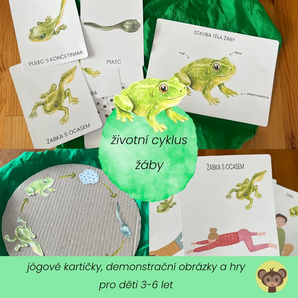 Životní cyklus žáby - demonstrační obrázky, jógové kartičky a pohybové hry 