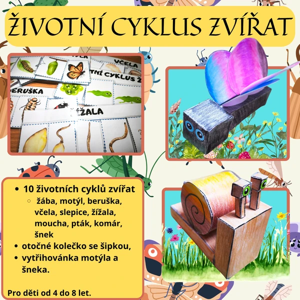 Životní cykly zvířat