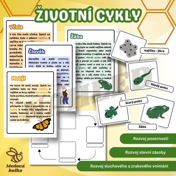 Životní cykly