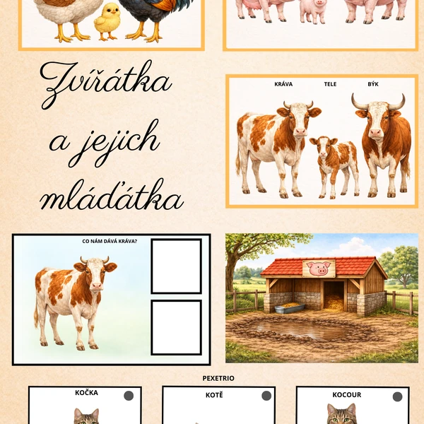 Zvířátka a jejich mláďátka
