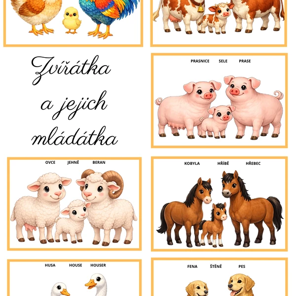 Zvířátka a jejich mláďátka