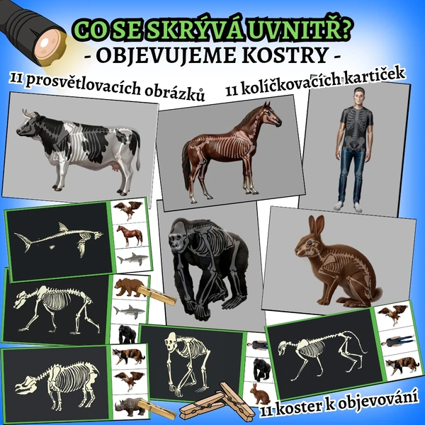 CO SE SKRÝVÁ UVNITŘ? - OBJEVUJEME KOSTRY