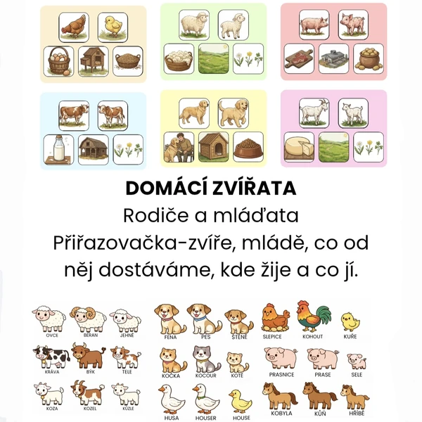 DOMÁCÍ ZVÍŘATA-výukové kartičky