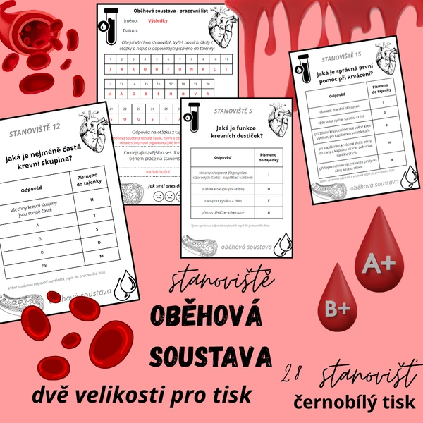 Oběhová soustava (28 stanovišť, pracovní list, výledky)