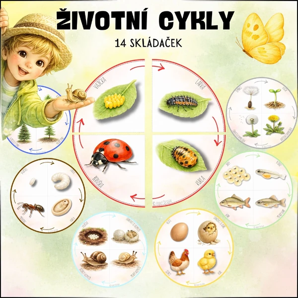 Životní cykly - Skládačky