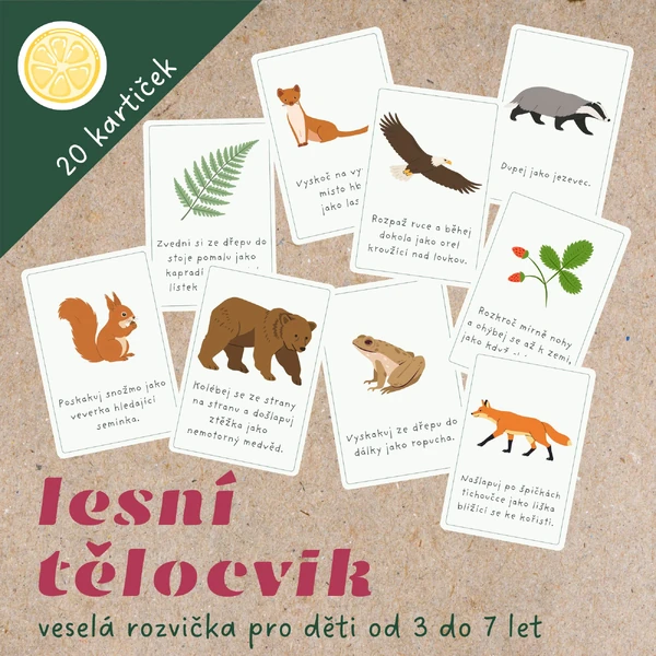 LESNÍ TĚLOCVIK - pohybové kartičky na rozcvičku