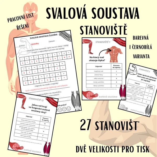 Svalová soustava - stanoviště (27 stanovišť, pracovní list, výsledky)