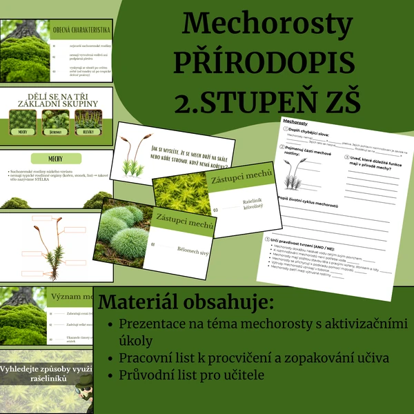 Mechorosty