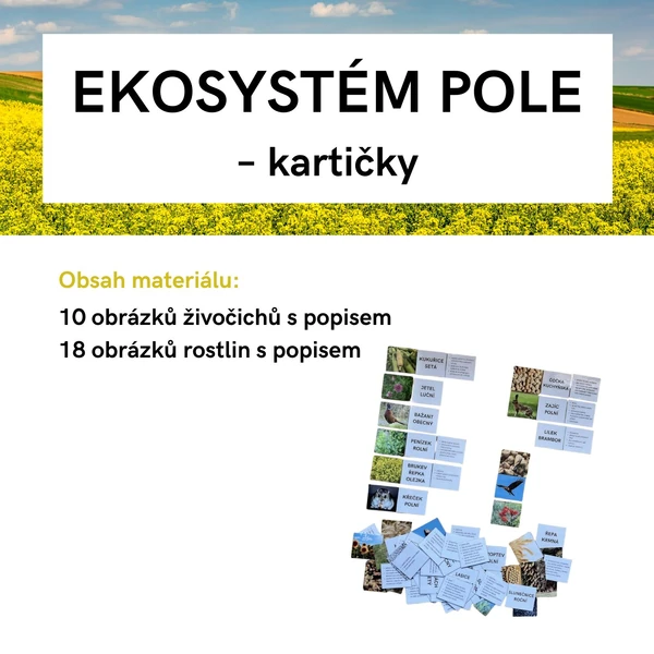 EKOSYSTÉM POLE – kartičky