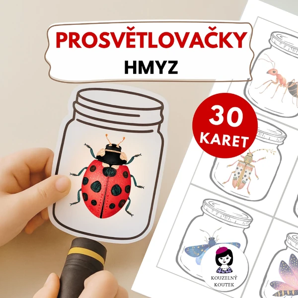 Hmyzí prosvětlovačky | Prosvětlovací obrázky hmyzu | Entomologie | Brouci