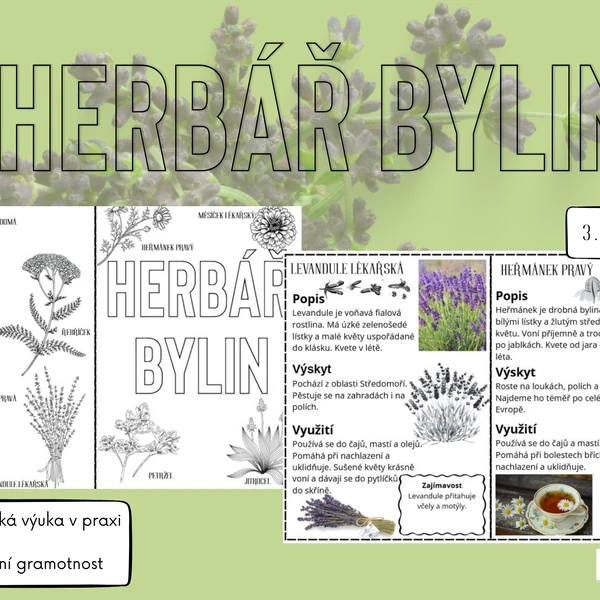 Herbář bylin