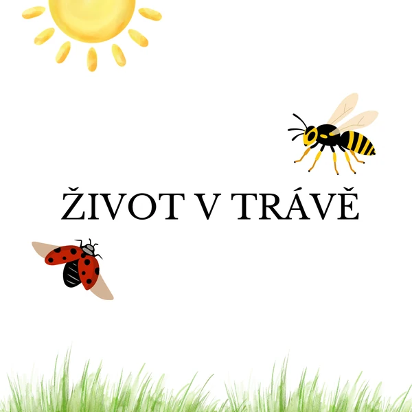 Život v trávě