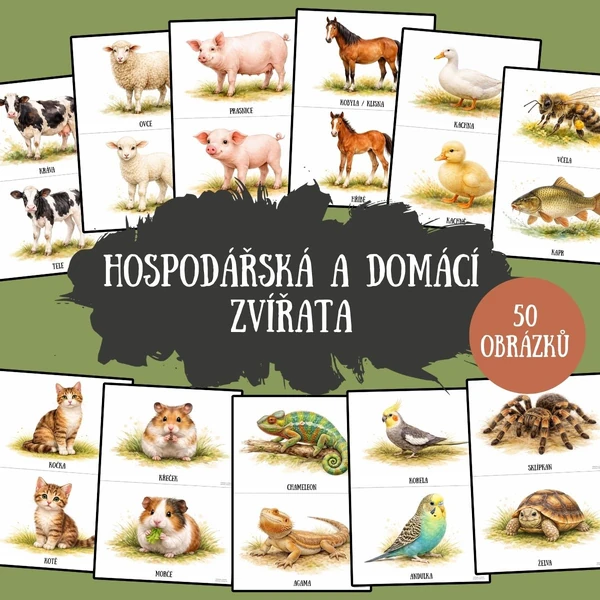 Hospodářská a domácí zvířata - 50 demonstračních obrázků
