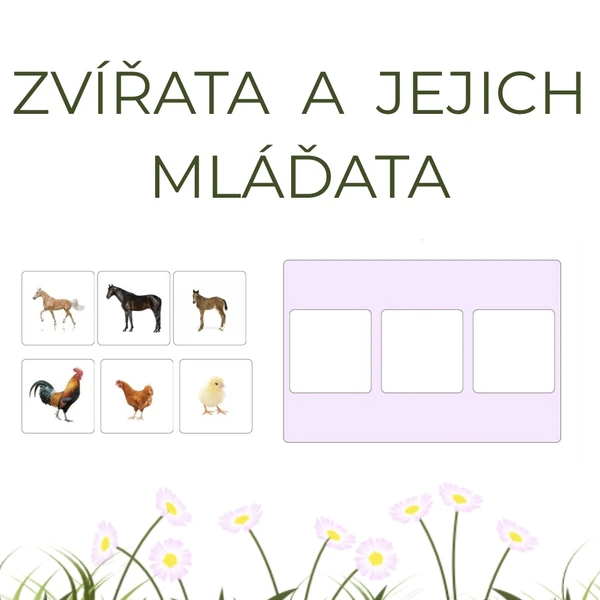 Zvířata a jejich mláďata 