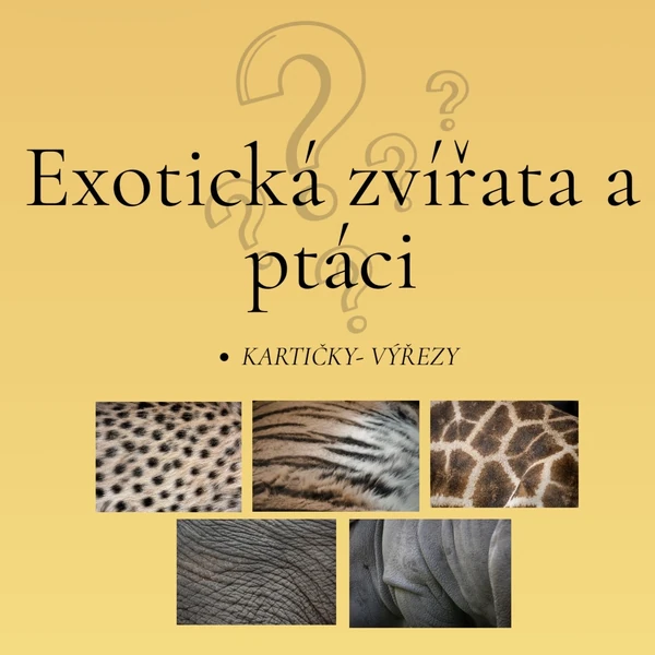 Exotická zvířata a ptáci- výřezy 🐘🐆🦓🐫🦒🐊