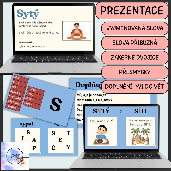 Vyjmenovaná slova po S - prezentace (význam slov), ve přesmyčky, zákeřné dvojice.. 