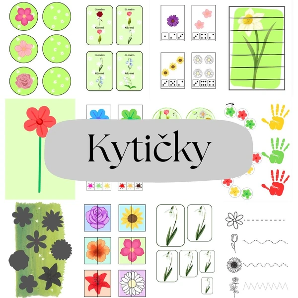Květiny 