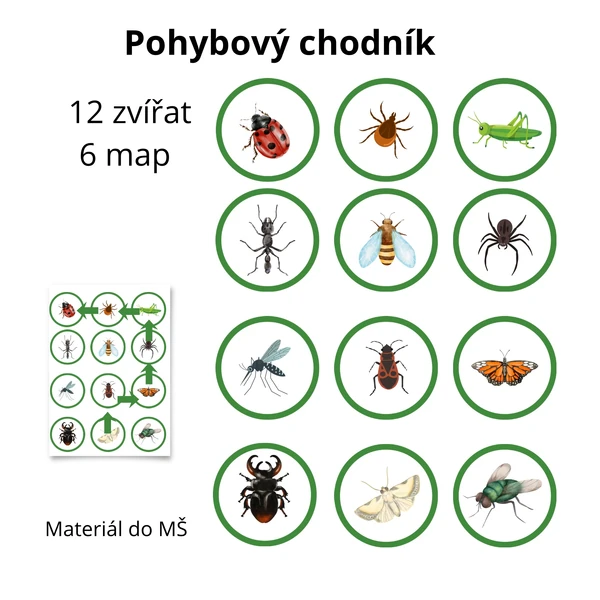 Hmyz pohybový chodník 🐝🐜