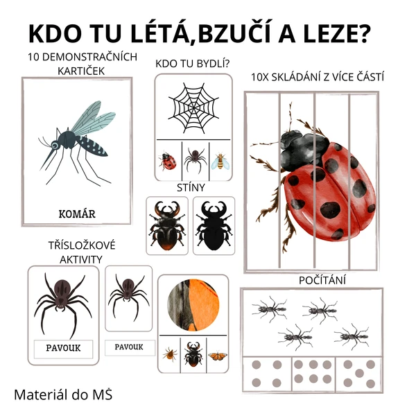 Hmyz aneb co kolem nás léta,bzučí a leze?🐝🐜