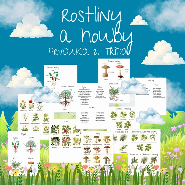 Rostliny a stromy ( obrázky AI)
