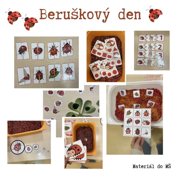Beruškové úkoly ❤️🐞