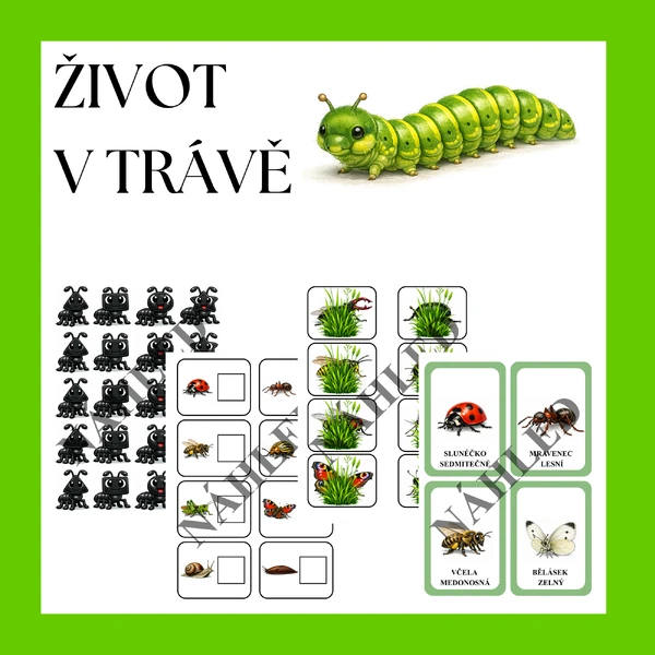 ŽIVOT V TRÁVĚ 