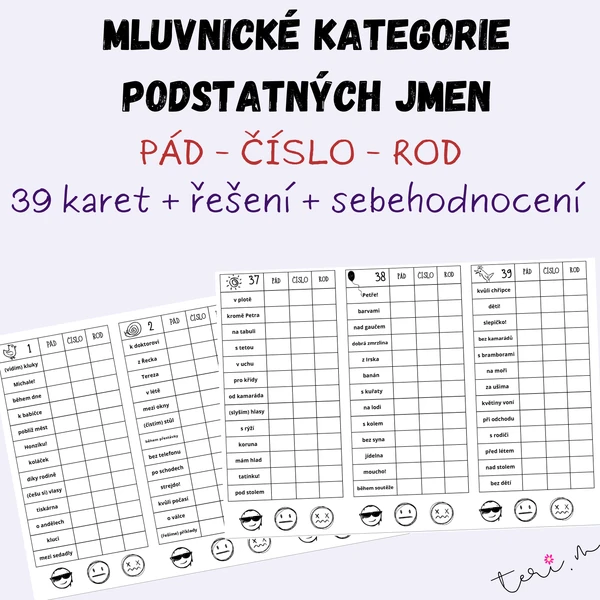 MLUVNICKÉ KATEGORIE PODSTATNÝCH JMEN - určování (pád, číslo, rod)