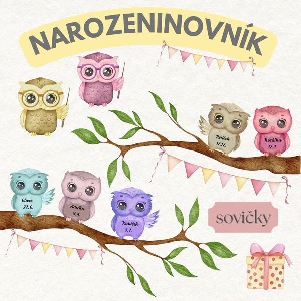 Narozeninovník - sovičky