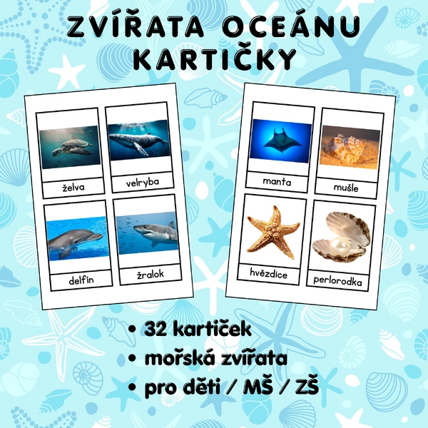 Zvířata oceánu – vzdělávací kartičky pro děti (32 kartiček)