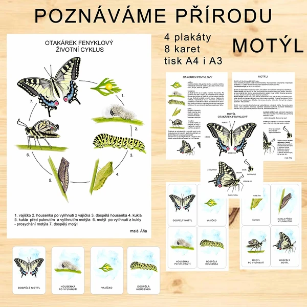 MOTÝL - POZNÁVÁME PŘÍRODU