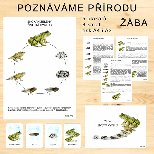 ŽÁBA - POZNÁVÁME PŘÍRODU