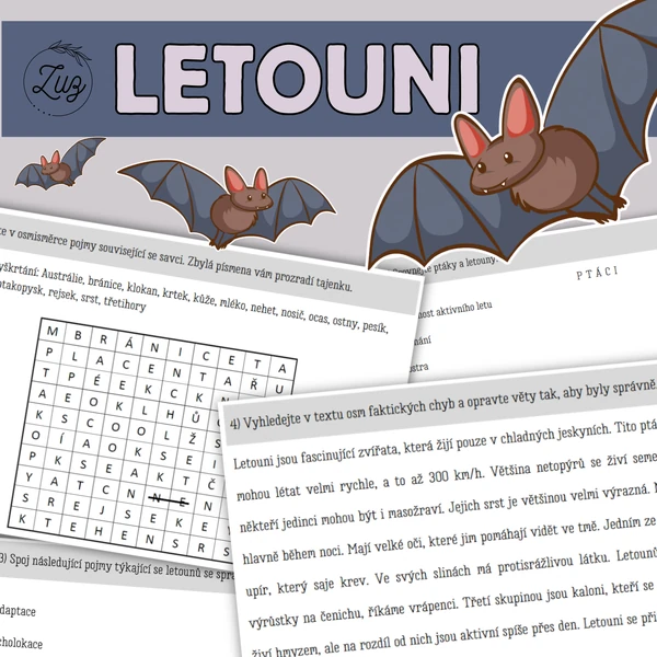 LETOUNI - osmisměrka, pracovní list