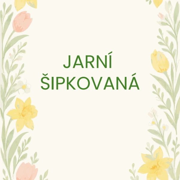 Jarní šipkovaná
