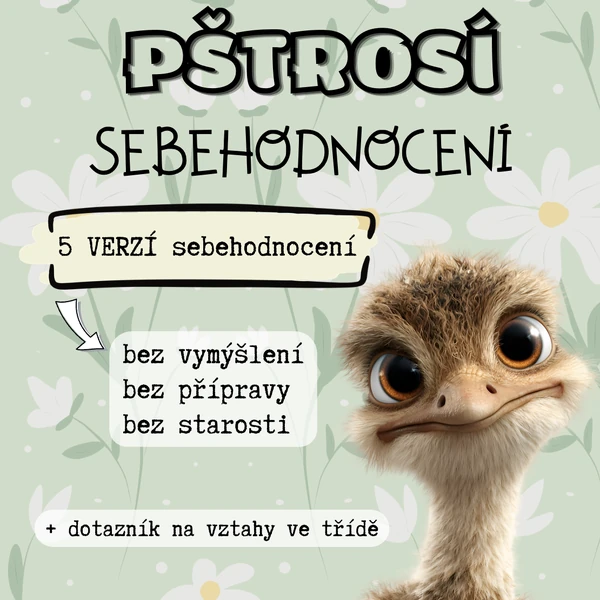 Pštrosí hodnocení 